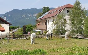 Lipizzaner Lodge Guest House